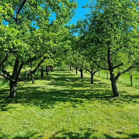 Gaestehaus Iwwerdorfer Hof Büdingen