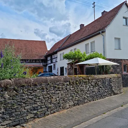 Gaestehaus Iwwerdorfer Hof アパート *