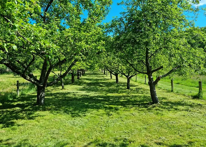 Gaestehaus Iwwerdorfer Hof Büdingen